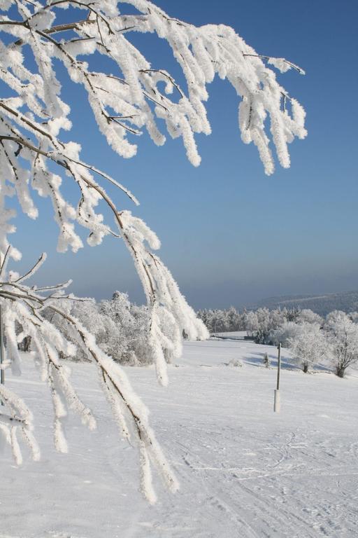 Ferienhaus Am Skihang Altenberg Buitenkant foto